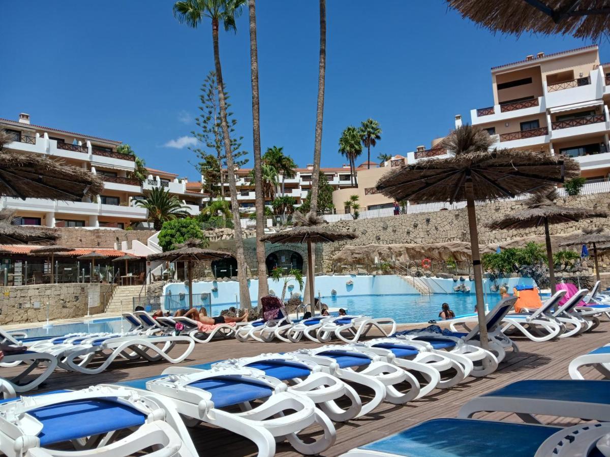Chillout Studio Albatros In Toller Anlage Mit Pool سان ميغيل ذي أبونا المظهر الخارجي الصورة