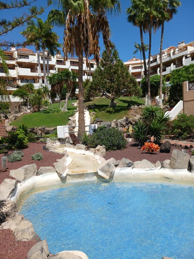 Chillout Studio Albatros In Toller Anlage Mit Pool سان ميغيل ذي أبونا المظهر الخارجي الصورة